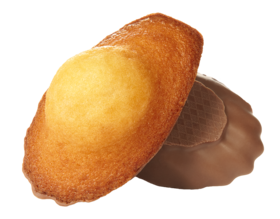 Madeleines chocolait - Bijou Madeleines chocolait - Bijou